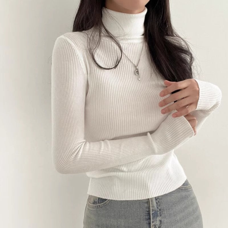 スモーキータートルリブニット