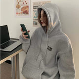 バックロゴビッグフーディー