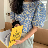 デイジーミディアムパフトップス