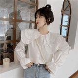 ダブルカラービジューブラウス