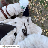 アクセントリボンボアアウター