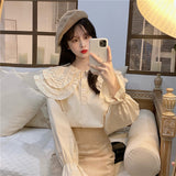 ダブルカラービジューブラウス