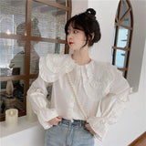 ダブルカラービジューブラウス