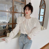 ダブルカラービジューブラウス