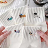 ドッグ刺繍くるぶしソックス5点SET