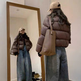 ブラウンレザーパフダウンジャケット