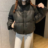 ハイネックレザードロストリブダウン