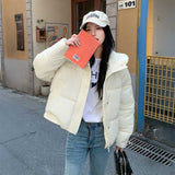 スムースマットボタンダウンジャケット